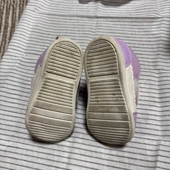 コキンちゃんのパープルシューズの画像