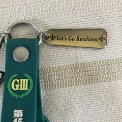 競馬　優勝馬キーホルダー　第４５回　関屋記念（ＧⅢ）の画像