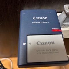 デジカメの画像