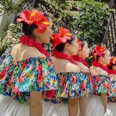 習志野市フラダンス🌺新規生徒募集中❗️の画像