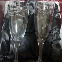 ミラコスタの画像