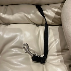 ペット　ドライブベットの画像