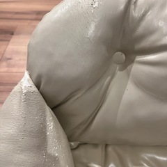 ペット　ドライブベットの画像