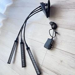 植物育成ライト　三灯　LED
の画像