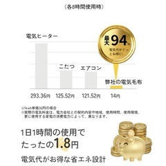 新品　電気毛布 表ラビットファー調×裏フランネル 大判 190×130 セミダブル ホワイトの画像