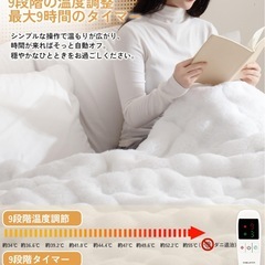 新品　電気毛布 表ラビットファー調×裏フランネル 大判 190×130 セミダブル ホワイトの画像