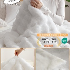 新品　電気毛布 表ラビットファー調×裏フランネル 大判 190×130 セミダブル ホワイトの画像