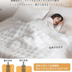 新品　電気毛布 表ラビットファー調×裏フランネル 大判 190×130 セミダブル ホワイトの画像