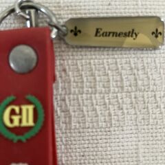 競馬　優勝馬キーホルダー　第４６回　札幌記念（ＧⅡ）の画像