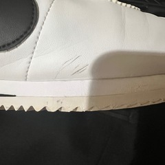 NIKE 24cm ジュニア スニーカー コルテッツの画像