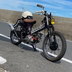 カブカスタムの画像