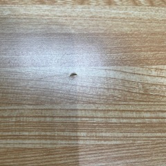 折り畳みテーブルの画像