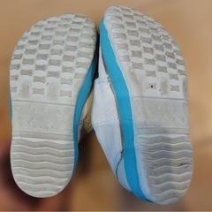 うわばき17.0の画像