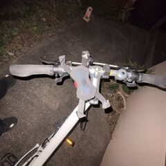 ジャイアント[GIANT] ESCAPE R3 MS 465mm(S) | クロスバイクの画像