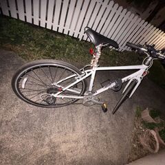 ジャイアント[GIANT] ESCAPE R3 MS 465mm(S) | クロスバイクの画像