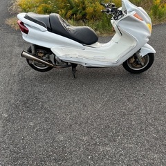 マジェスティ250 sg03j  ビッグスクーター
の画像