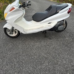 マジェスティ250 sg03j  ビッグスクーター
の画像