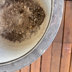 KONTON タウルス　ミドル　植木鉢カバーの画像