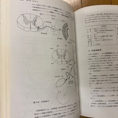 解剖学の画像