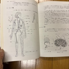 解剖学の画像