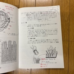 解剖学の画像