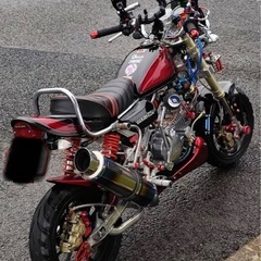 モンキー！！フルカスタムの画像