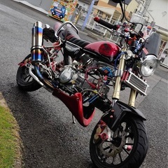 モンキー！！フルカスタムの画像