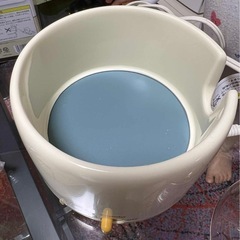 調乳じょーずの画像