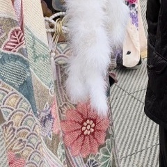 総絞り振袖セットの画像