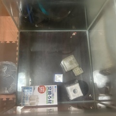 ③水槽✖️2    台付　早い者勝ちです！   の画像