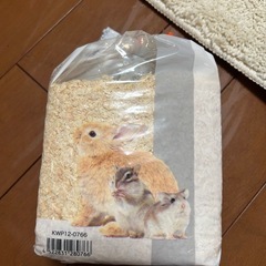 ハムスター　飼育セットの画像