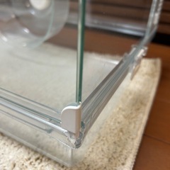 ハムスター　飼育セットの画像