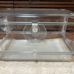 ハムスター　飼育セットの画像