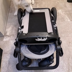 ペットカート　中型犬の画像