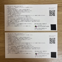 ネスタリゾート神戸　小学校招待券2枚の画像