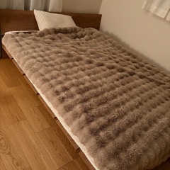 セミダブルベットの画像