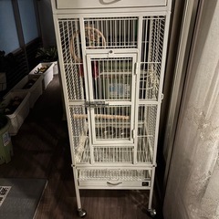 鳥カゴの画像