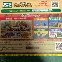 マクドナルド　アニア　スペシャルDVD2枚の画像