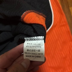 読売ジャイアンツ　坂本隼人の画像