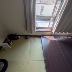 畳　撤去　
無料の画像