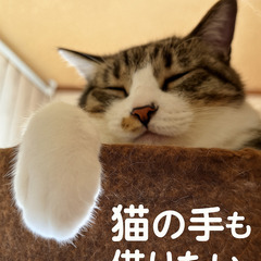 未経験でも安心♪15時から1時間〜OK！簡単な配達バイト - 福岡県 春日市 出口車輌 -の画像