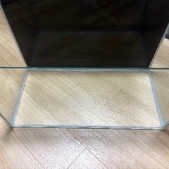 水槽×2 外部フィルターの画像