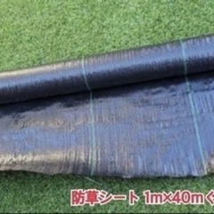 人工芝ロール新品1m×20m 　の画像