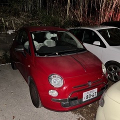 フィアット500 の画像