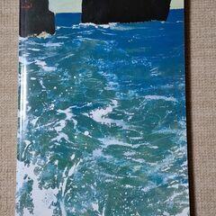 奄美群島日本復帰50周年記念　奄美を描いた画家　田中一村展　図録2004の画像