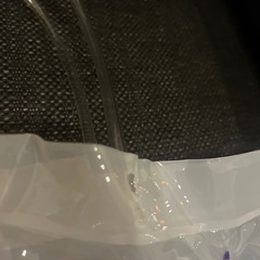 訳あり　ビーチバッグの画像