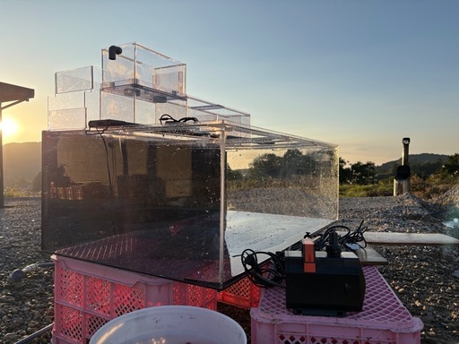 1200アクリル水槽フルセット　ぷう工房上部フィルター