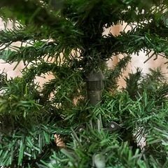 クリスマスツリーの画像