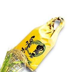 令和7年度茨城県コシヒカリ新米になります。大人気商品となっております。10キロ入りです。コメントお待ちしております。の画像