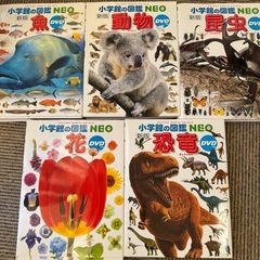 小学館の図鑑NEO5冊　魚　動物　昆虫　花　恐竜の画像